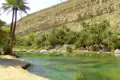 Grüne Oase mit Palmen und Wasserbecken vor einer Felswand.