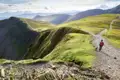 Wanderer mit Hund auf einem Bergpfad.