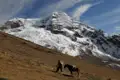 Reisender mit Packpferd in den Bergen