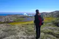 Wanderer betrachtet einen Eisberg in der arktischen Landschaft Grönlands.