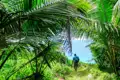 Person wandert auf einem Pfad durch einen tropischen Dschungel zum Meer.