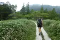 Wanderer auf einem Holzsteg inmitten grüner Vegetation.