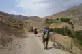 Wanderung auf einem Bergpfad: Ein Wanderer und ein Eselreiter auf dem Weg.