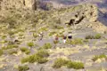Wanderer auf einer Trekkingtour durch eine felsige Landschaft.