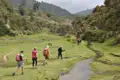 Wandergruppe auf einer Talwanderung, entlang eines Baches mit Weidetieren im Hintergrund.