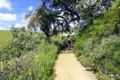 Wanderweg mit Wildblumen und Bäumen.