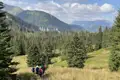 Wanderer auf einem Bergpfad inmitten von Tannen.