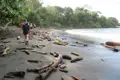 Wanderer auf einem Strand mit Treibholz.