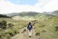 Wanderer auf einem Bergpfad