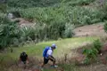 Zwei Wanderer mit Rucksäcken wandern durch landwirtschaftlich genutztes Gebiet, vorbei an Bananenplantagen und traditionellen Hütten.