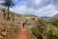 Wanderer auf einem roten Weg in einer palmengesäumten Landschaft.