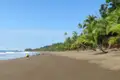 Wanderer auf einem tropischen Strand mit Palmen.