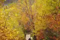 Wanderer auf einem herbstlichen Weg.