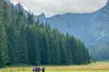 Wanderer auf einem Bergpfad mit Tannenwald und Bergen im Hintergrund.