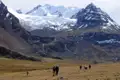 Wanderer in den Anden mit schneebedeckten Bergen und Gletschern im Hintergrund.