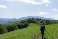Wanderer auf einem Bergpfad mit Blick auf schneebedeckte Gipfel.