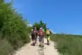 Wanderer auf einem Schotterweg, umgeben von Vegetation.