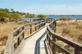 Barrierefreier Holzsteg durch die Dünenlandschaft zum See.