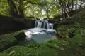 Idyllischer Wasserfall im Wald