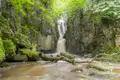 Szenischer Wasserfall inmitten von üppigem Wald.