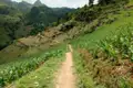 Wanderweg durch terrassierte Maisfelder in einer Berglandschaft.