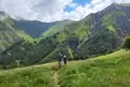 Wanderer auf einem Bergpfad inmitten einer grünen Landschaft.