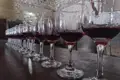 Weingläser mit Rotwein, bereit für eine Verkostung im Weinkeller.