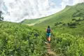 Wanderer auf einem Bergpfad inmitten grüner Vegetation.