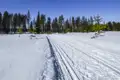 Loipe im Schnee mit Bäumen im Hintergrund.