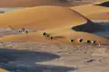 Sanddünenlandschaft