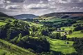 Panoramablick auf eine grüne Hügellandschaft mit landwirtschaftlichen Flächen und bewaldeten Bereichen.