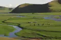 Blick auf ein Zeltlager inmitten einer grünen Flusslandschaft, umgeben von sanften Hügeln.