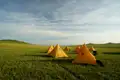 Gelbe Zeltunterkünfte auf einer grünen Wiese, Teil der Reiseunterkunft.