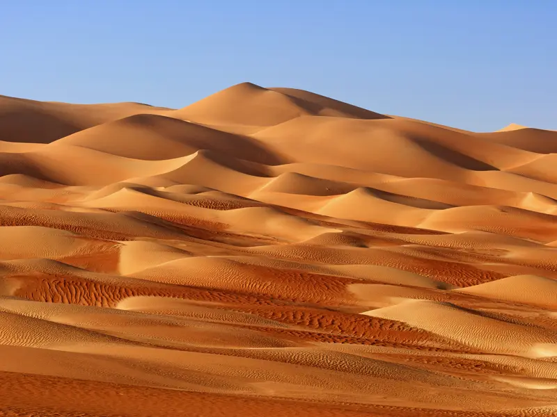 Auch in die Wahabi Sands führt unsere Studienreise in den Oman. Die Dünen liegen wie ein wellenreiches Meer vor uns.
