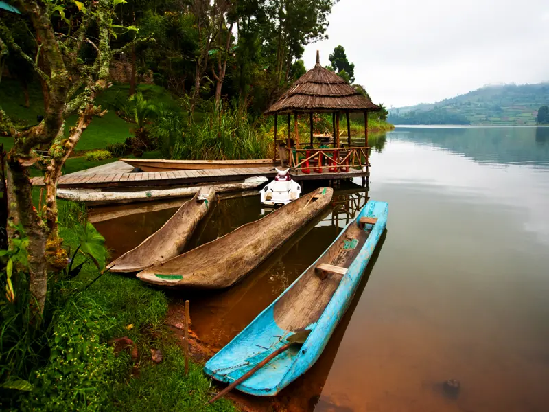 Auf unserer Natur-Studienreise erleben wir die faszinierendsten Naturparks Ugandas. Am Bunyonyi-See, ganz im Südwesten des Landes, ist die Szenerie traumhaft schön und traumhaft grün. Der See auf 2000 m Höhe ist eine landschaftliche Perle und beliebtes Erholungsgebiet.