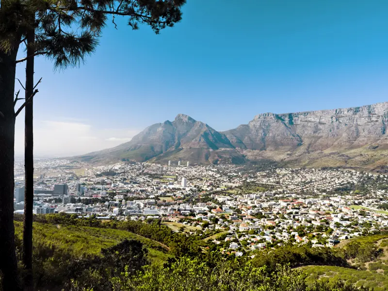 Spektakuläre Panoramablicke gibt es auf unserer Preiswert-Studienreise Südafrika - Höhepunkte zuhauf. Hier die Aussicht vom Lion's Head auf Kapstadt und den Tafelberg.