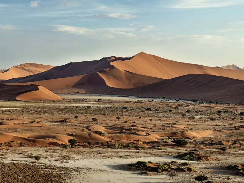 Bei unserer Großen Namibia-Studienreise sehen wir spektakuläre Sanddünen: Bis zu 380 m hoch ragen die Sandberge rund um die riesige Salz-Ton-Pfanne des Sossusvleis orangerot gen Himmel. Höhere Dünen gibt es nirgendwo!