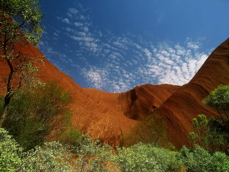 Unsere Studienreise Australien - die Große Australienreise bringt Sie nicht nur nach Tasmanien und zu den Pinnacles in Westaustralien. Denn natürlich erleben Sie aus nächster Nähe auch den Ayers Rock (Uluru), den heiligen Felsen der Aborigines, mit seinen faszinierenden Farbenspielen!