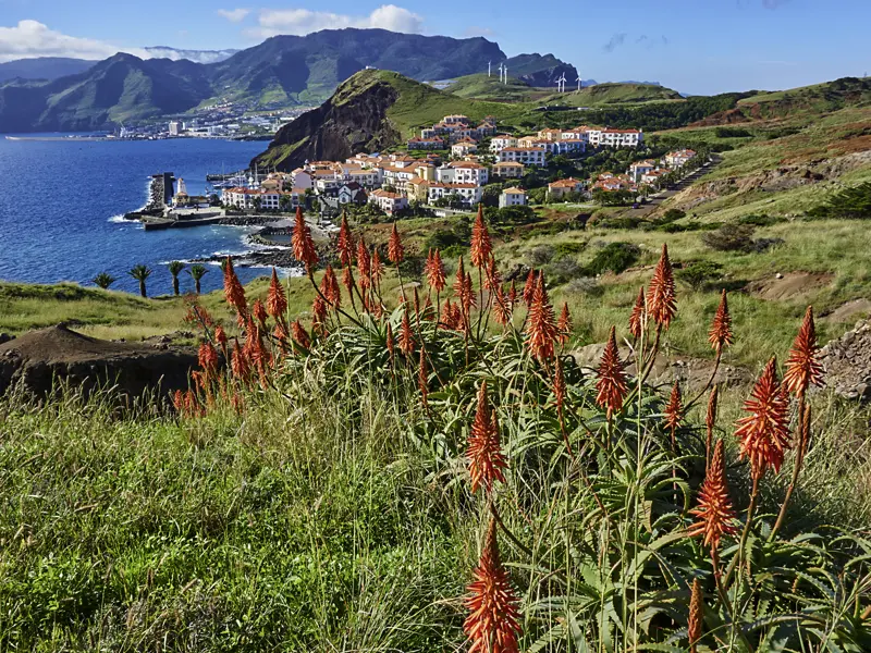 Auf unserer Wander-Studienreise nach Madeira genießen wir auf unseren Wanderungen schöne Ausblicke über die Küstenlandschaften der Insel des ewigen Frühlings.