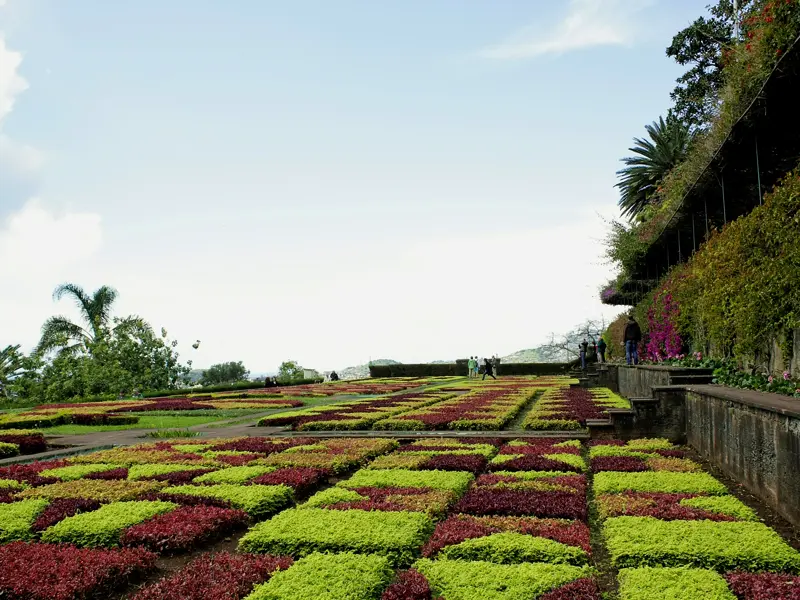 Auf unserer entspannten Madeira-Studienreise flanieren wir durch den botanischen Garten von Funchal und genießen die Pflanzenpracht.
