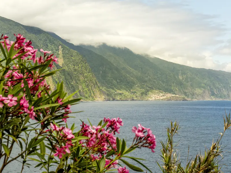 Auf unserer Studienreise mit Muße nach Madeira können Sie wunderbare Blicke über die Küste werfen und erleben hautnah, warum die autonome Region Portugals als Blumeninsel gilt.