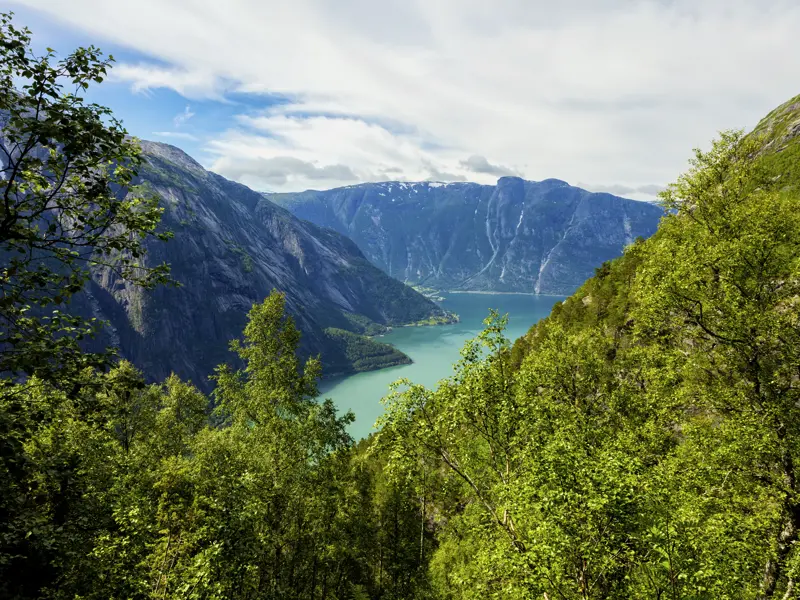 Der erste richtig große Fjord unserer Studienreise durch Norwegen ist der Hardangerfjord.