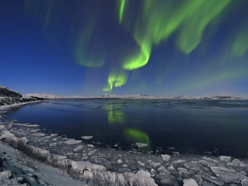 Auf der neuntägigen Studienreise Island - Nordlichtsafari im Winter haben wir gute Chancen, am Himmel die unbeschreiblich faszinierenden Polarlichter beobachten zu können.