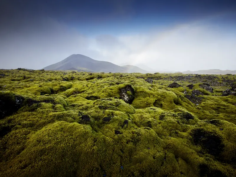 Auf unserer Wander-Studienreise Island - zwischen Gletschern und Vulkanen wandern -  werden Sie die ganze Vielfalt der isländischen Landschaft kennenlernen.
