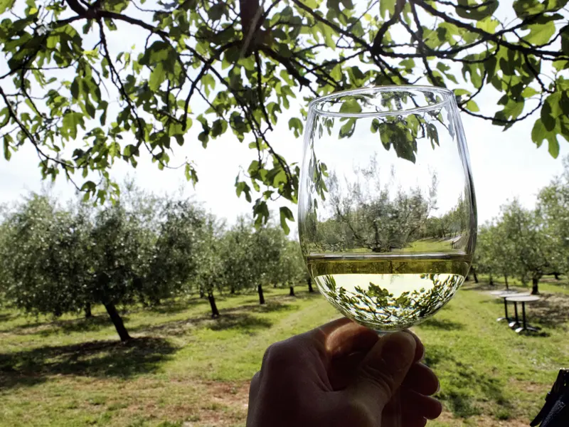 Ziel unserer Inselrundfahrt auf Brac ist ein idyllisches Weingut. Wir fragen den Winzer nach seinen Produktionsmethoden und probieren seine Weine.