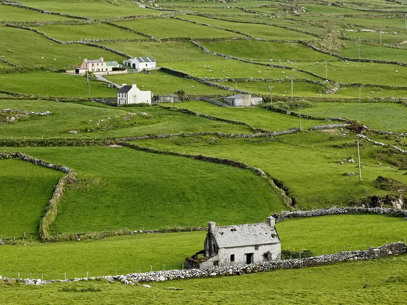 Auf unserer Rundreise fahren wir durch die herrlich grüne Landschaft im landwirtschaftlich geprägten Westen von Irland mit den charakteristischen Steinriegelmauern, die Felder und Wiesen abteilen.
