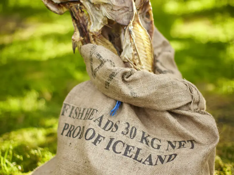 Trockenfisch gehört zu den typisch isländischen Nahrungsmitteln. Auf der smart&small-Rundreise nach Island haben Sie auf jeden Fall die Möglichkeit, diese Delikatesse zu probieren.