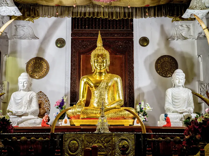Auf unserer Studienreise Sri Lanka - Höhepunkte besuchen wir in Kandy den Zahntempel (UNESCO-Welterbe). In ihm behüten Mönche die wichtigste Reliquie Sri Lankas, den linken oberen Eckzahn Buddhas. Besonders eindrucksvoll: die komplett vergoldete und mit Edelsteinen geschmückte Statue eines sitzenden Buddha.