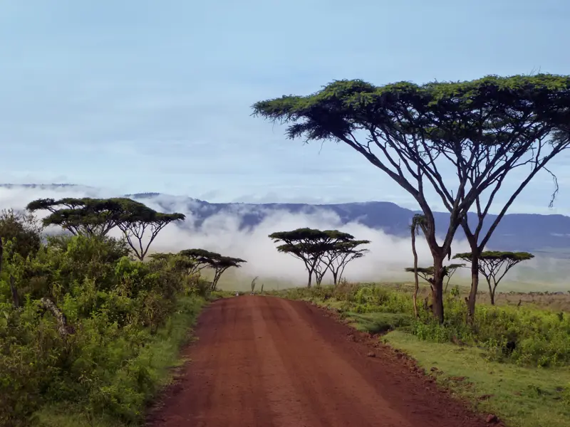 Auf unserer Rundreise durch Tansania führt unser 'Weg durch die grandiose Landschaftskulisse von Ostafrika.