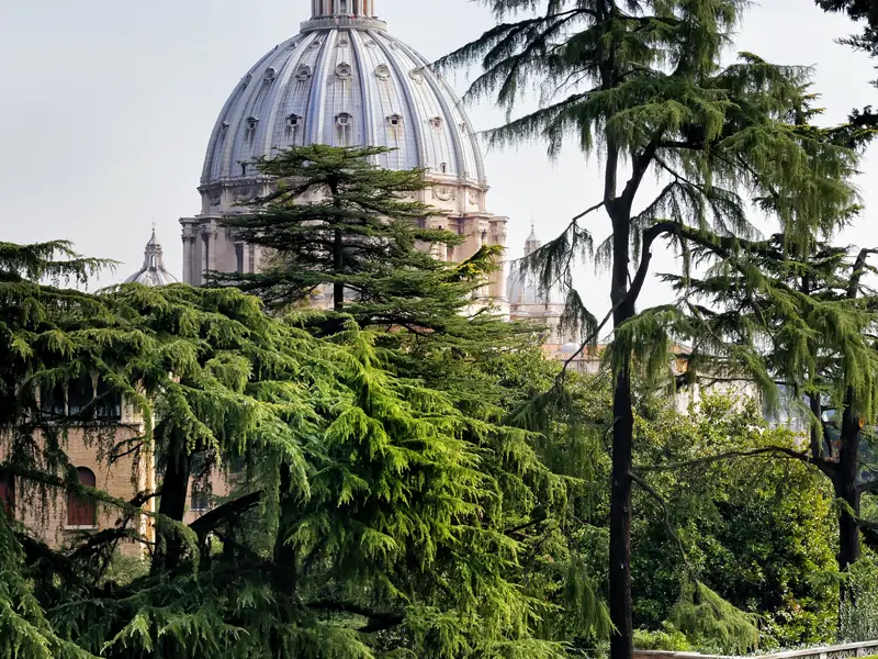 Die eindrucksvolle Peterskuppel von Michelangelo in Rom - hier von den Vatikanischen Gärten aus gesehen. Erleben Sie auf dieser Städtereise den Petersdom und die Höhepunkte der Vatikanischen Museen.